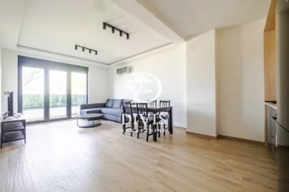 Paštrovićeva | 4zida.rs