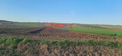 Fruškogorska | 4zida.rs