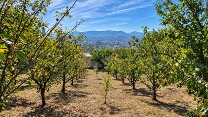 Gvozdena Paunovića 70A | 4zida.rs