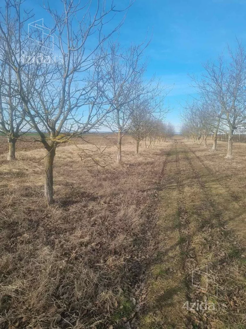 Poljoprivredno zemljište | 4zida