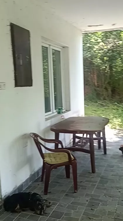 Dobrivoja Maksimovića | 4zida.rs
