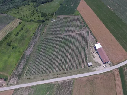 Karađorđeva bb | 4zida.rs