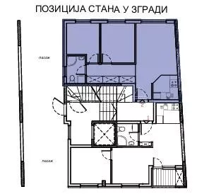 Salajka | 4zida.rs