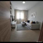Petrovaradin, Gradske lokacije, Novi Sad | 4zida.rs | 4zida.rs