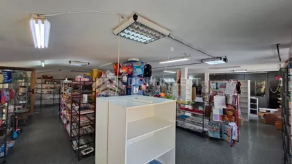 Salvadora Aljendea | 4zida.rs