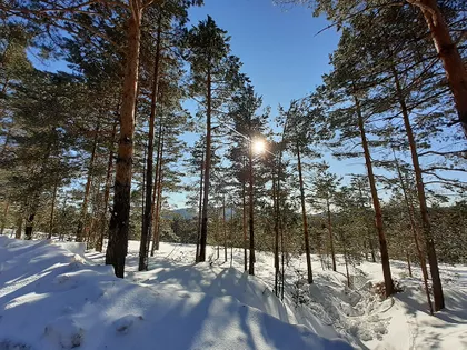 Divčibare | 4zida.rs