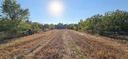 Lovćenac | 4zida.rs