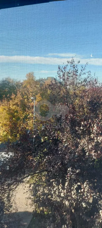 Ilije Stojadinovića | 4zida.rs