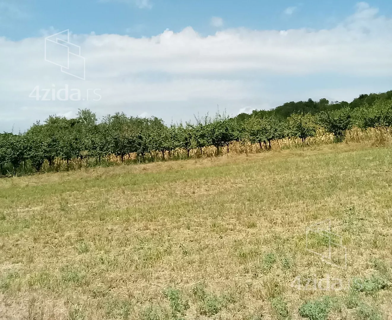 Poljoprivredno zemljište | 4zida