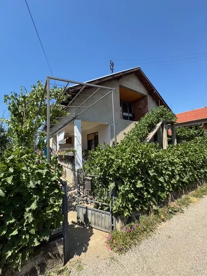 Ančiki Nemanjina | 4zida.rs
