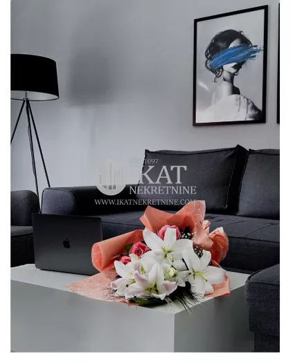 Vojvode Vlahovića | 4zida.rs