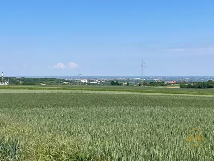 Bukovac | 4zida.rs