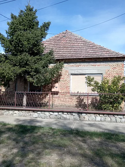 Zeleno Polje | 4zida.rs