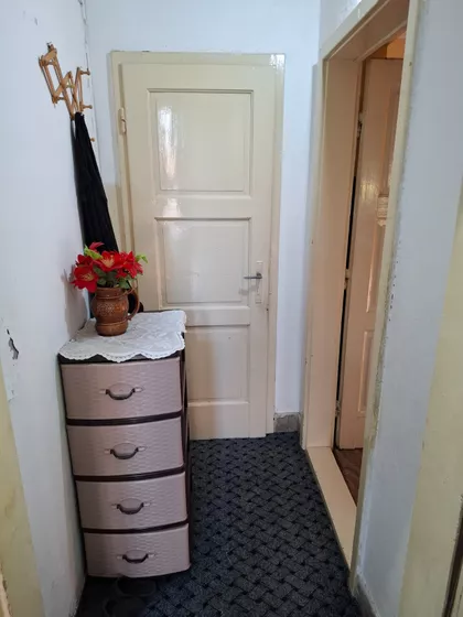 Bulevar Nikole Pašića | 4zida.rs