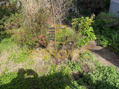 Karaburma | 4zida.rs