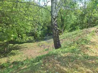 Bocke, Sremska Kamenica, Gradske lokacije, Novi Sad | 4zida.rs