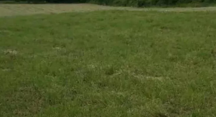 Poljoprivredno zemljište | 4zida