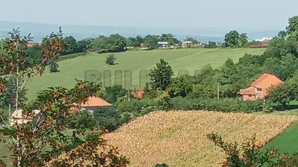 Brđanska | 4zida.rs