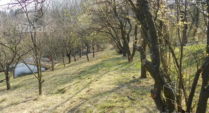 Plac | 4zida