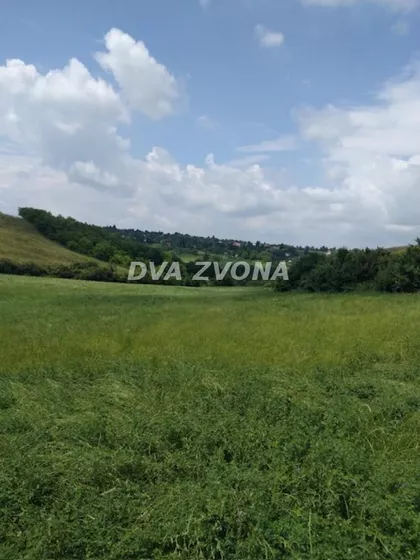 Čortanovci | 4zida.rs