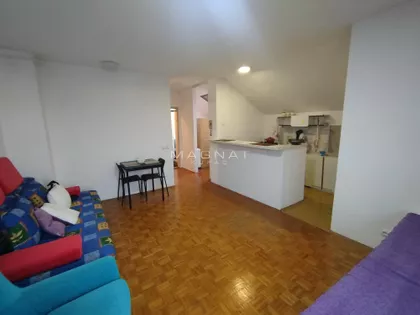 Dr Ivana Ribara | 4zida.rs