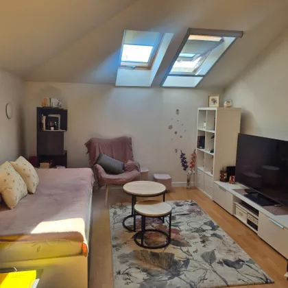 Novo Naselje | 4zida.rs