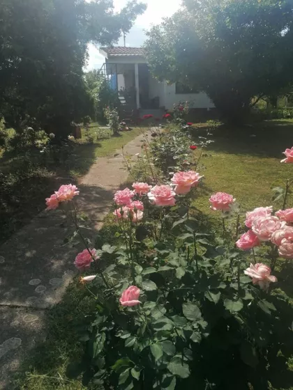 Avalska | 4zida.rs