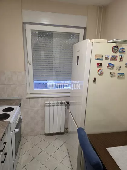 Nedeljka Gvozdenovića | 4zida.rs