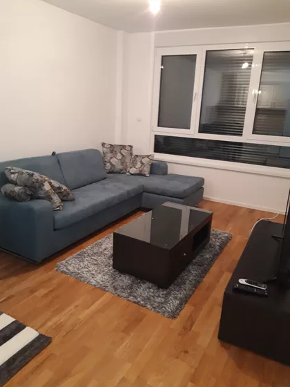 Ljube Didića | 4zida.rs