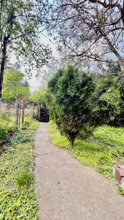 Vase Pelagića | 4zida.rs