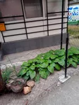 Novo Naselje, Gradske lokacije, Novi Sad | 4zida.rs | 4zida.rs