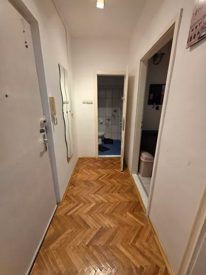 Vladimira Vujovića | 4zida.rs
