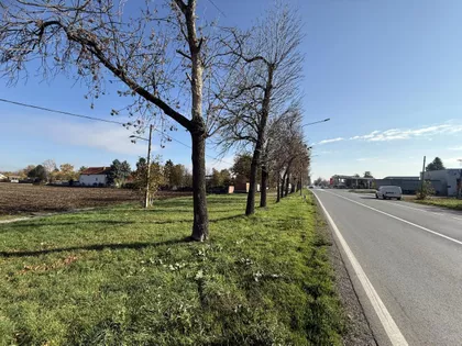 Bavaništanski put | 4zida.rs