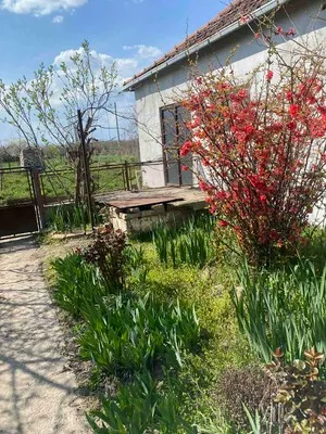 Opština Zrenjanin, Lukino Selo | 4zida.rs