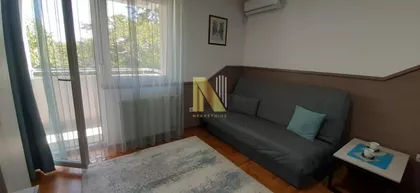Salajka | 4zida.rs