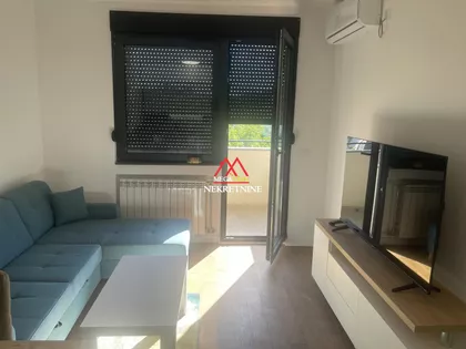 Miše Dimitrijevića | 4zida.rs
