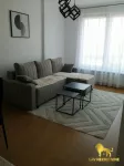 Novi Sad, Gradske lokacije, Salajka | 4zida.rs | 4zida.rs
