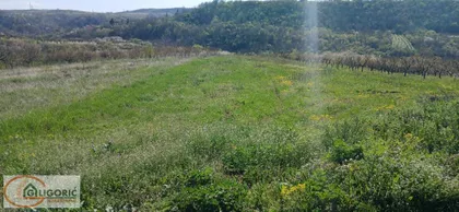 Zaklopača | 4zida.rs