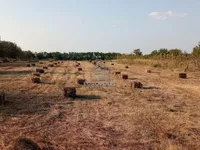 Bečmen, Surčin opština, Beograd | 4zida.rs