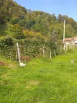 Plac | 4zida
