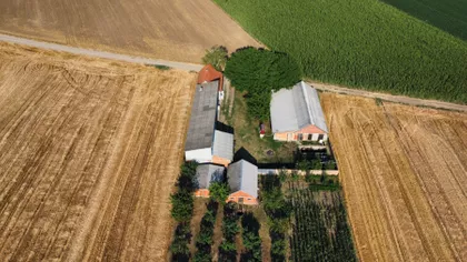 Pavlovačka bb | 4zida.rs