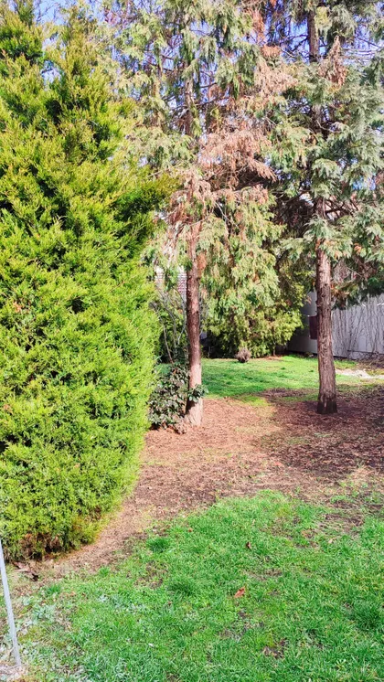 Gradske lokacije | 4zida.rs