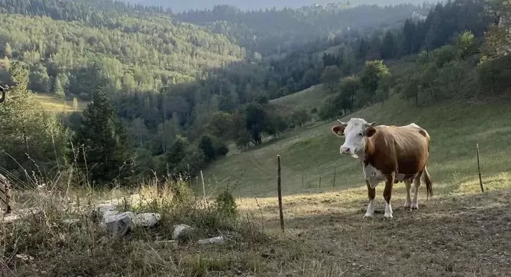 Poljoprivredno zemljište | 4zida