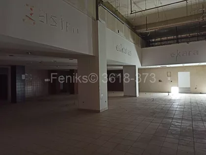 Dositeja Obradovića | 4zida.rs