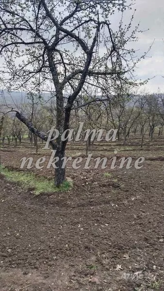 Poljoprivredno zemljište | 4zida