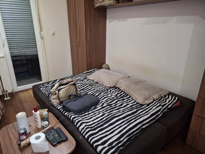 Petra Drapšina | 4zida.rs