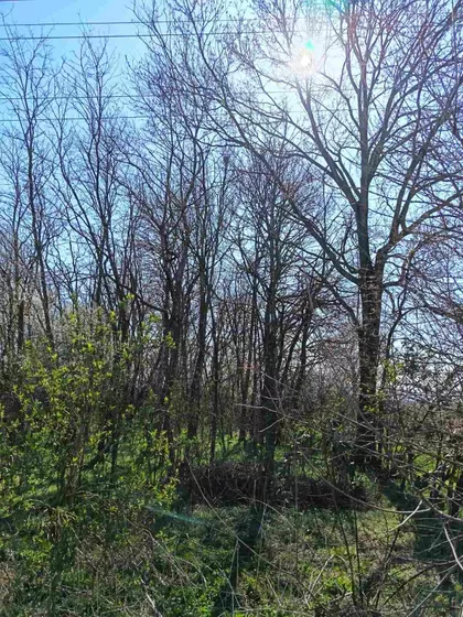 Kralja Petra Prvog bb | 4zida.rs