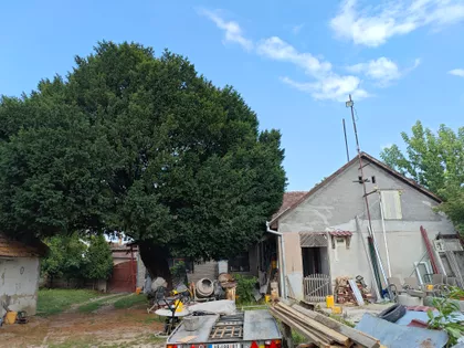 Lenjinova 36 | 4zida.rs