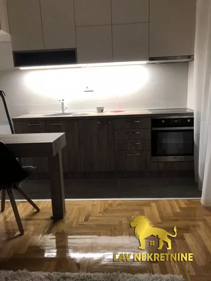 LUKIJANA MUŠICKOG | 4zida.rs