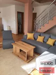 Novi Sad, Gradske lokacije, Bulevar Oslobođenja | 4zida.rs | 4zida.rs